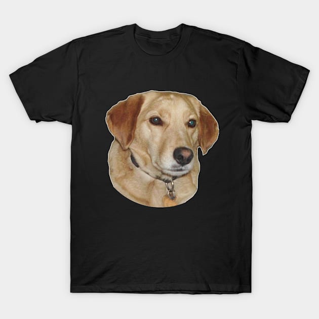 I love mix dogs T-Shirt by milicapetroviccvetkovic